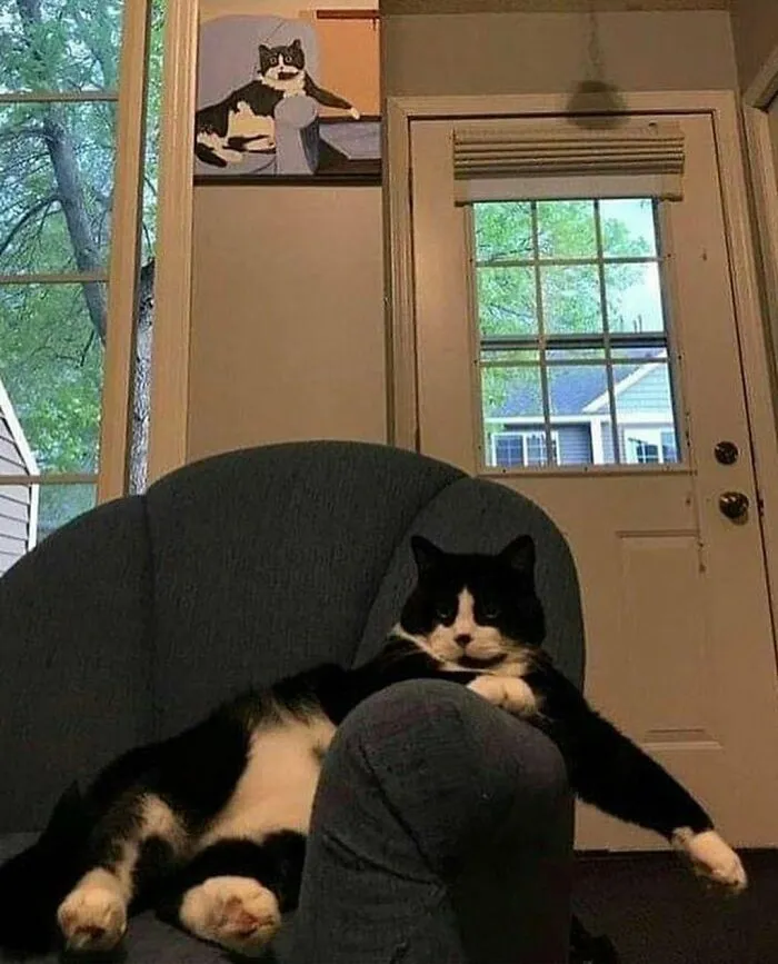 50 Animals Doing Whatever They Like, As Shared On This Instagram Account (New Pics)
