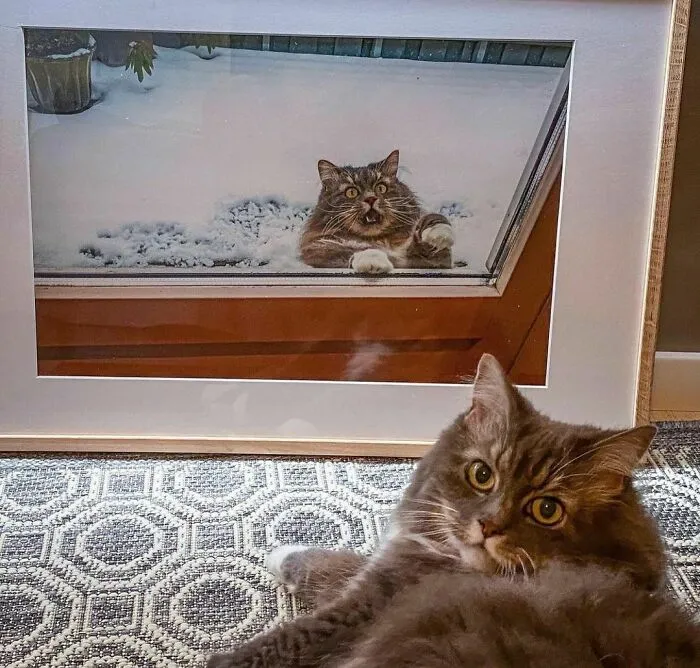 "I Want To Leave" Is Pretty Much The Weirdest Instagram Account, And Here Are 50 Pictures To Prove It (New Pics)