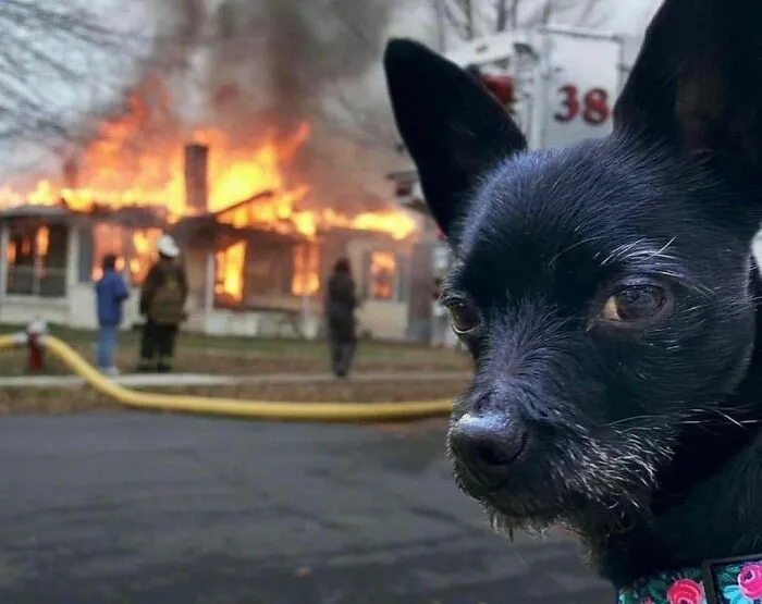 50 Animales haciendo lo que les da la gana (Nuevas fotos)