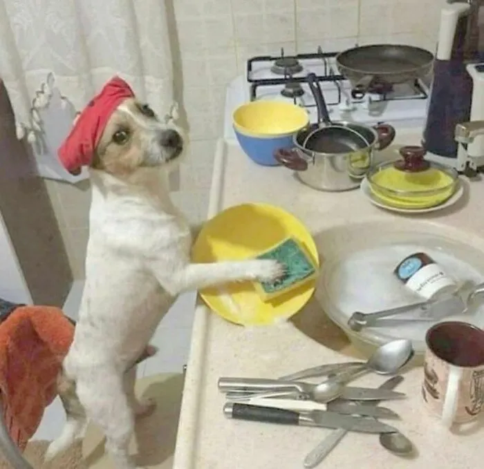 "Me quiero ir" es la cuenta de Instagram más rara, y aquí hay 40 fotos que lo demuestran (nuevas imágenes)