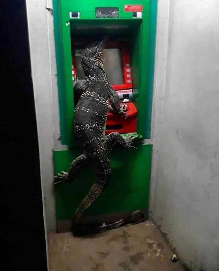 "Me quiero ir" es la cuenta de Instagram más rara, y aquí hay 40 fotos que lo demuestran (nuevas imágenes)