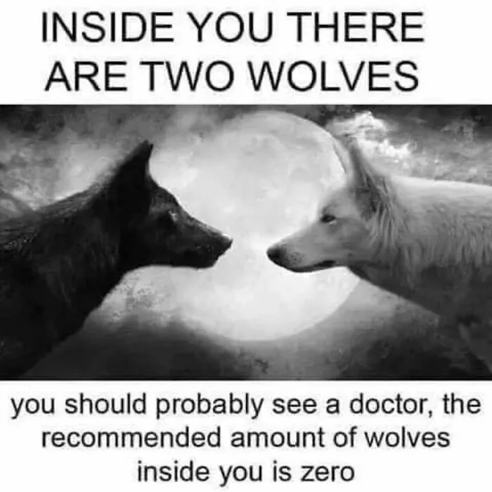 I Love  These Memes