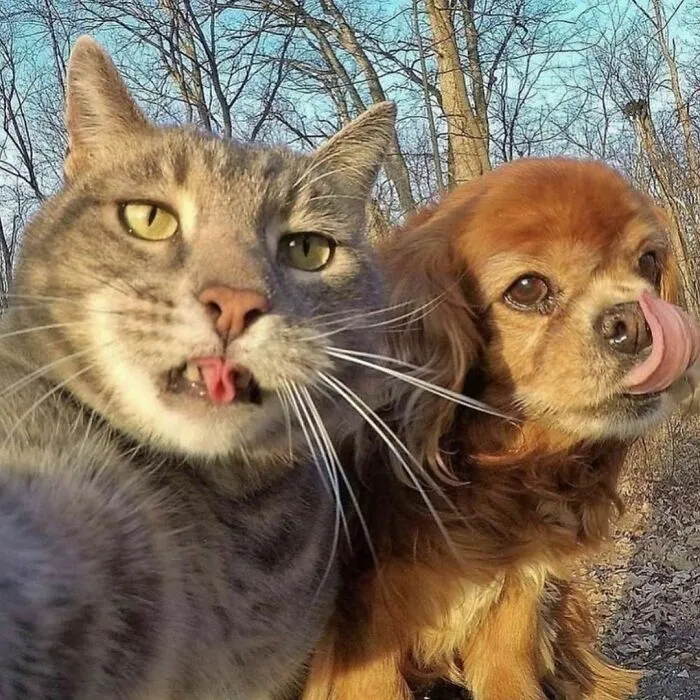 "Me quiero ir" es la cuenta de Instagram más rara, y aquí hay 40 fotos que lo demuestran (nuevas imágenes)