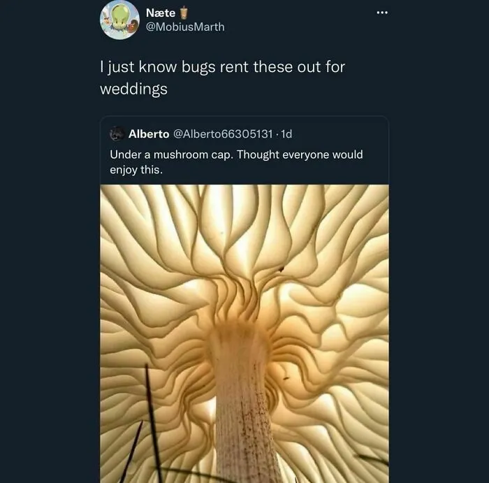 You May Now Bug The Bride