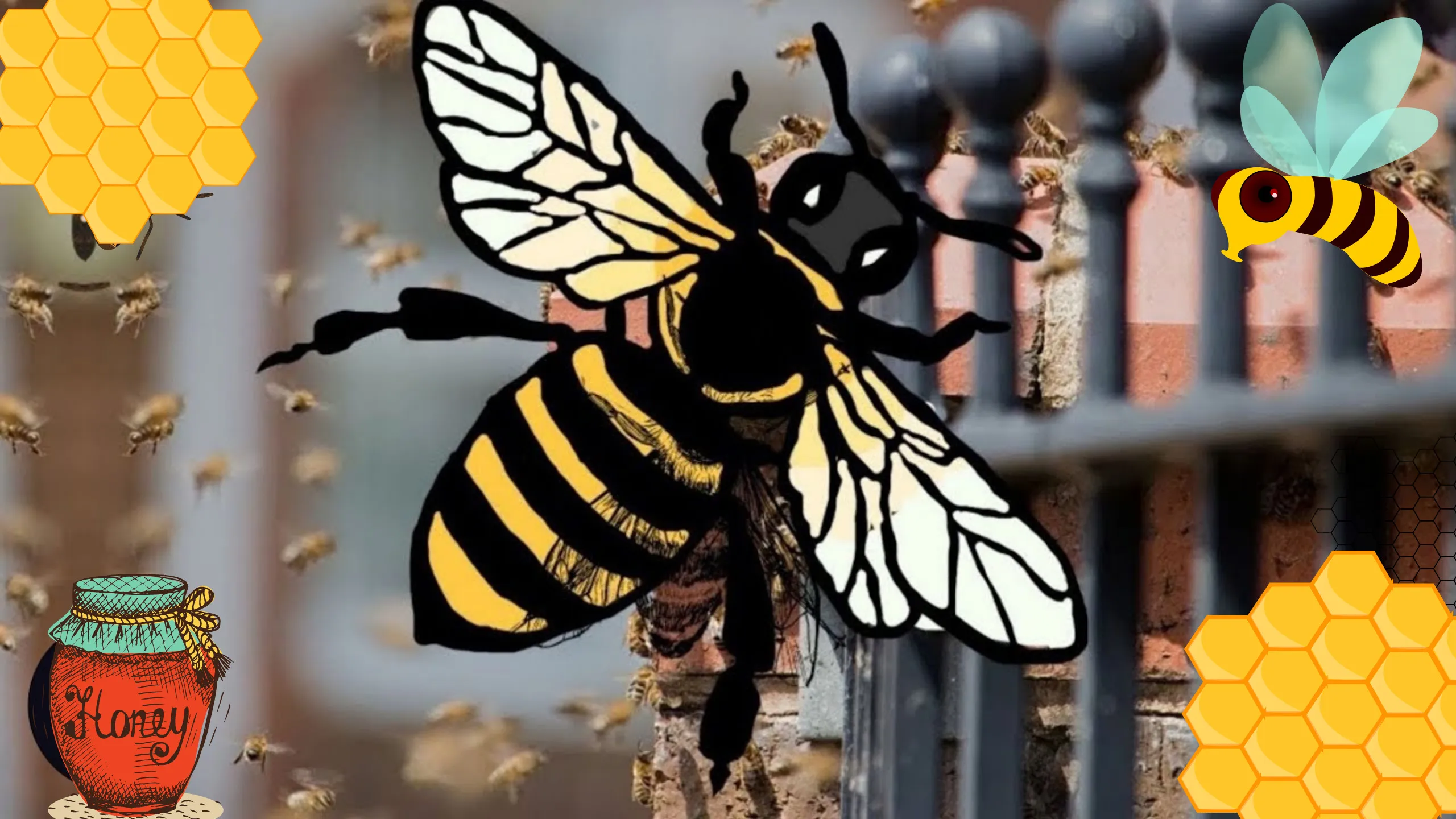 Bee Nest On A Street