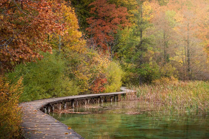 I Explored The Colorful Waterfalls Of Plitvice Lakes In Croatia, And Here Are My 28 Pictures From There