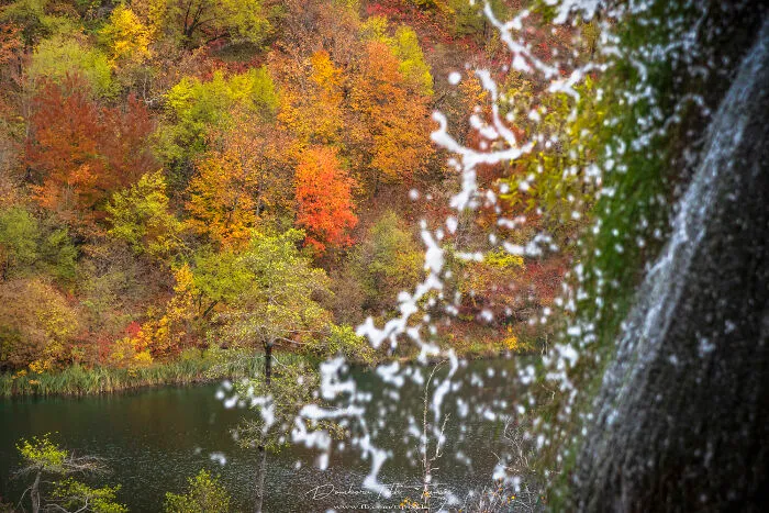 I Explored The Colorful Waterfalls Of Plitvice Lakes In Croatia, And Here Are My 28 Pictures From There
