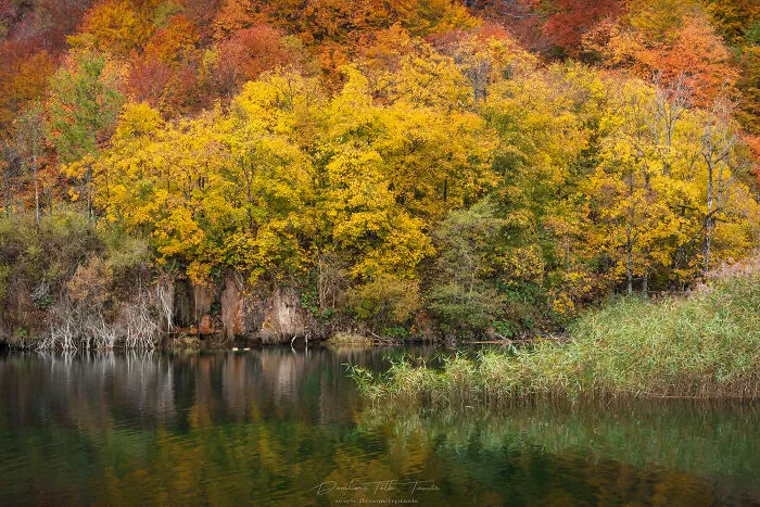 I Explored The Colorful Waterfalls Of Plitvice Lakes In Croatia, And Here Are My 28 Pictures From There