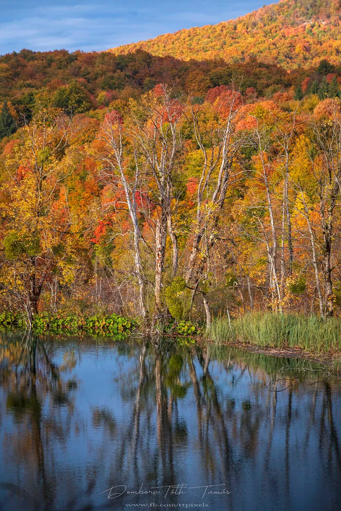 I Explored The Colorful Waterfalls Of Plitvice Lakes In Croatia, And Here Are My 28 Pictures From There