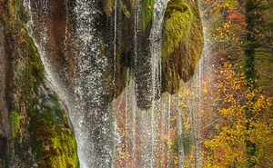 I Explored The Colorful Waterfalls Of Plitvice Lakes In Croatia, And Here Are My 28 Pictures From There
