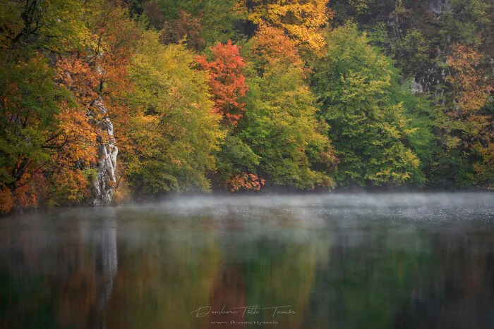 I Explored The Colorful Waterfalls Of Plitvice Lakes In Croatia, And Here Are My 28 Pictures From There