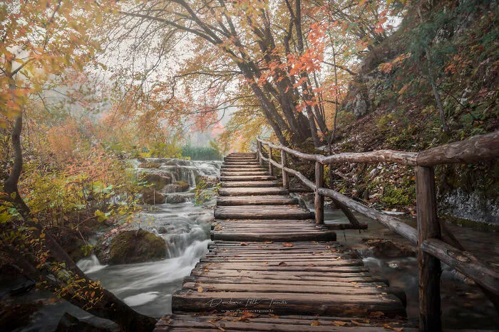 I Explored The Colorful Waterfalls Of Plitvice Lakes In Croatia, And Here Are My 28 Pictures From There