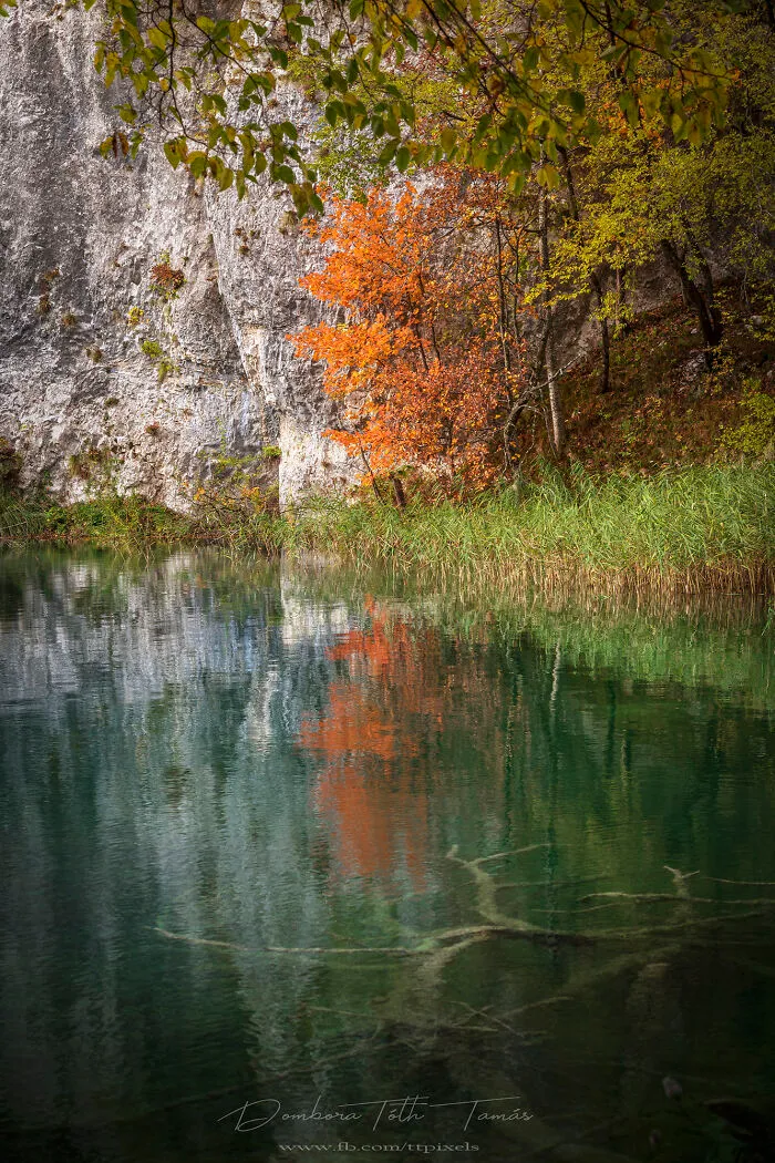 I Explored The Colorful Waterfalls Of Plitvice Lakes In Croatia, And Here Are My 28 Pictures From There