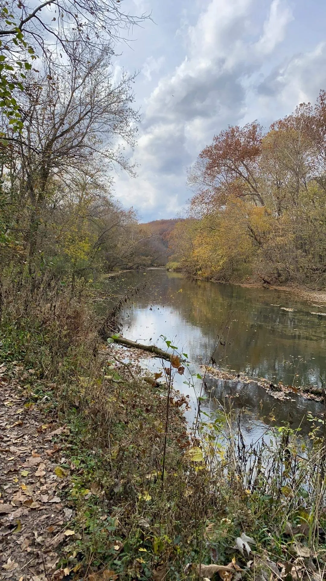 New Walking Spot