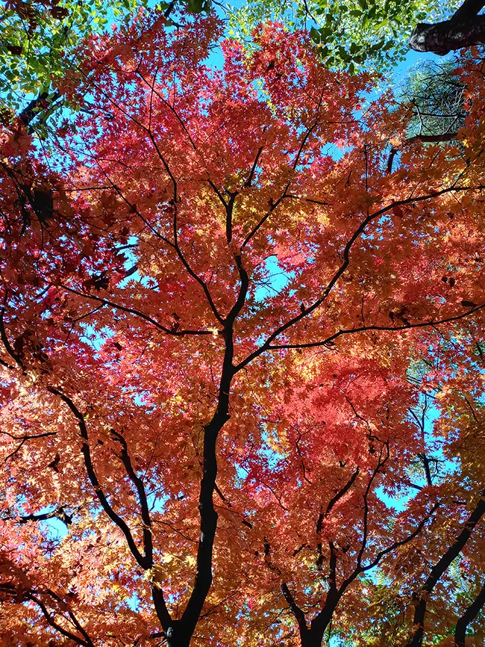 Unbelievable Colors