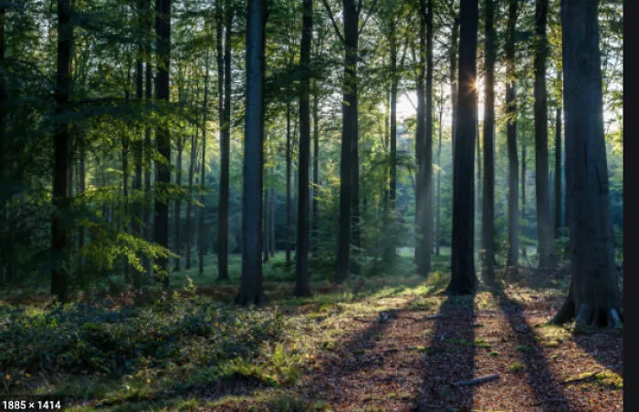 Creepy In Nature