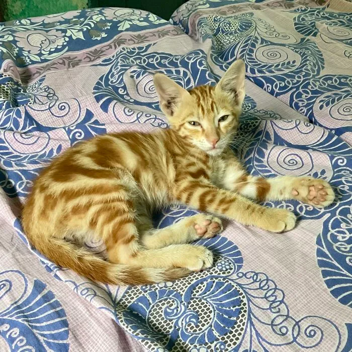 Just 5 More Minutes
