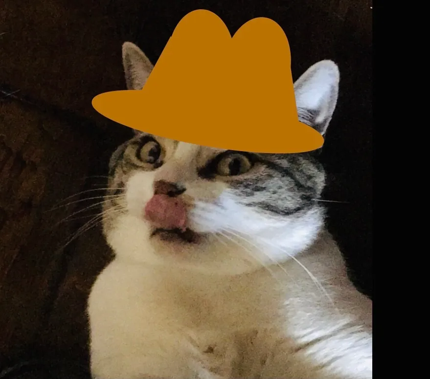 Hey Pandas, Post Your Funniest Pic Of Your Pet!