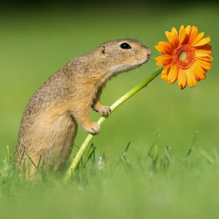 I Capture Beautiful Moments In Wildlife, Here Are My 30 Recent Photos