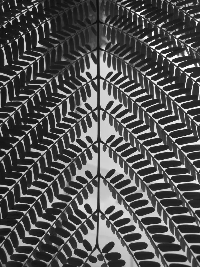 Symmetry