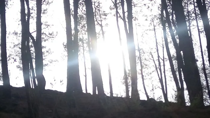 I Took This While We Were In A Moving Car. Pretty Good Xd