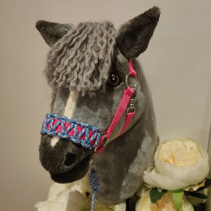 The First Hobby Horse I Made.