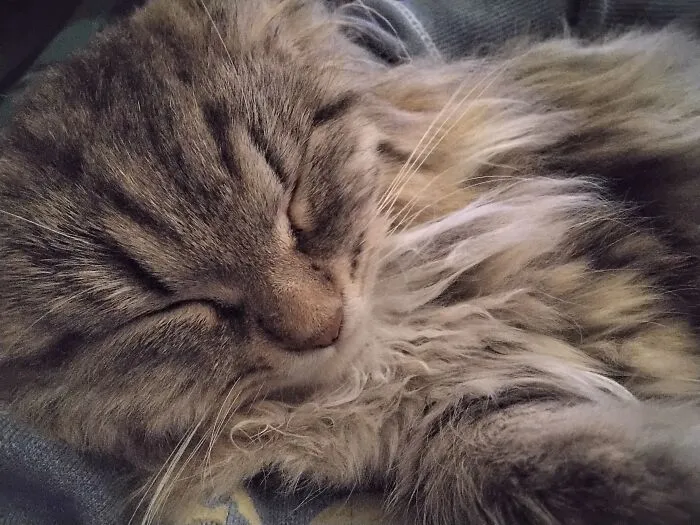 My Love