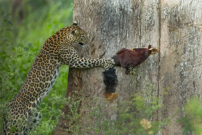 Tag, You Are It!