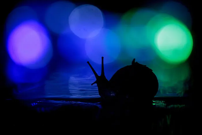 Neon Night