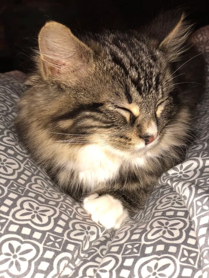 My Sweet Little Ivy Grace