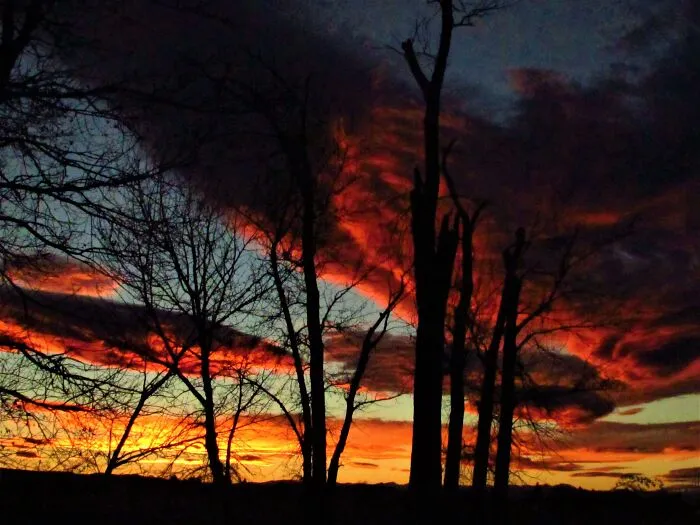 Really Big Sky, Bozeman, Mt