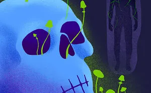 We Illustrated 9 Things You Can Do With Mushrooms Besides Eat Them