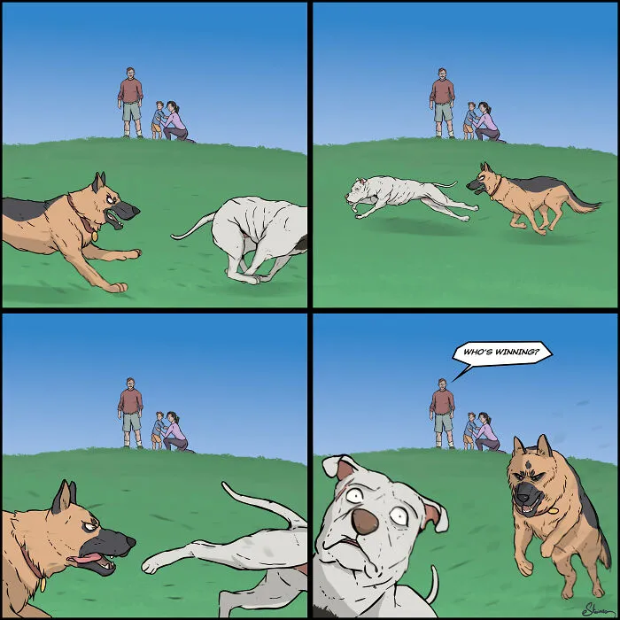 The Chase