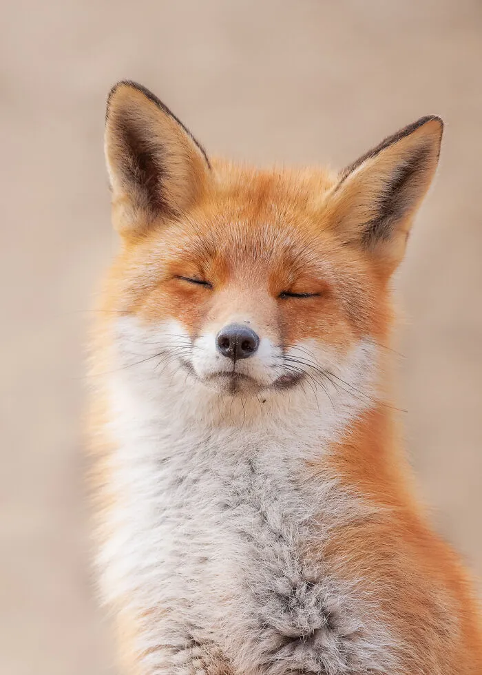 I Capture Beautiful Moments In Wildlife, Here Are My 30 Recent Photos