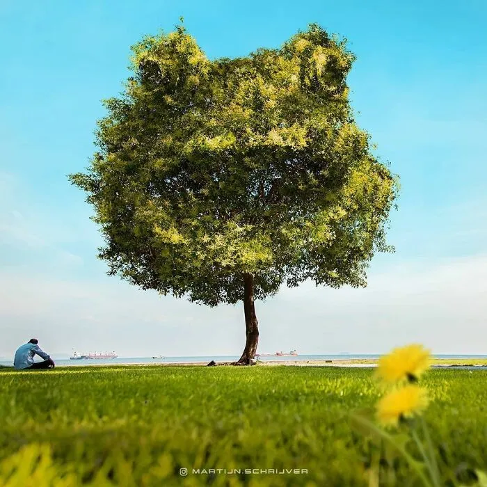Digital Artist Blurs The Line Between Reality And Fiction In His 52 Surreal Photo Manipulations