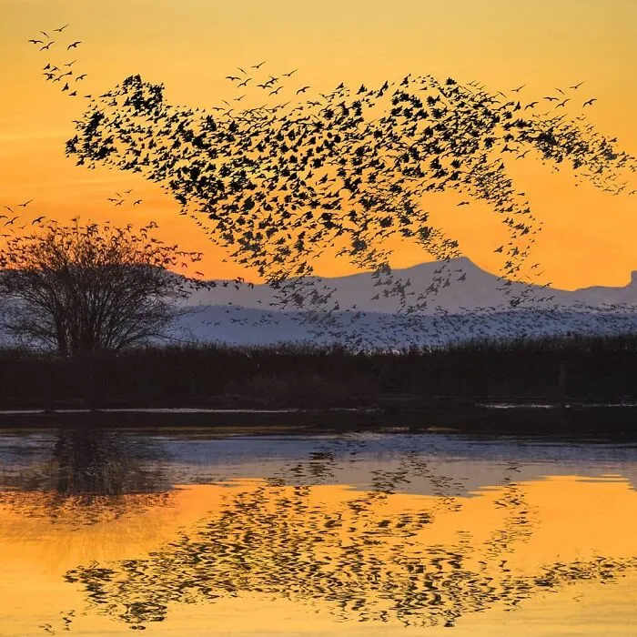 Digital Artist Blurs The Line Between Reality And Fiction In His 52 Surreal Photo Manipulations