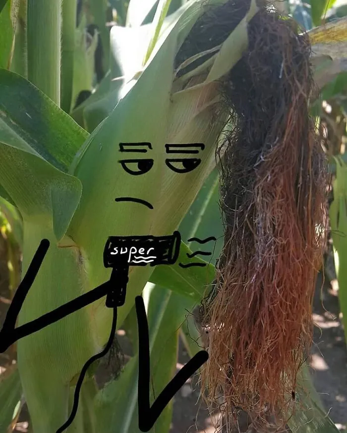 39 Creative Drawings On Pictures Of Everyday Objects Created By This Artist