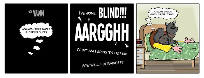 During My Mental Breakdown, I Started Creating Cartoon Strips Of My Best Friend's Life And Here's 20 Of Them