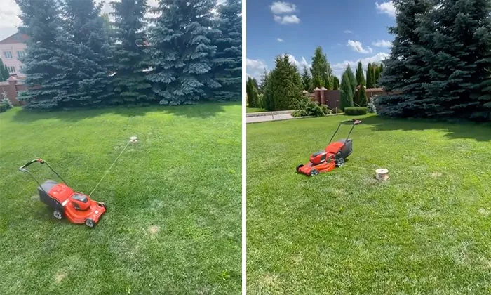 Bubba, Why Does Your Lawn Have Crop Circles On It?