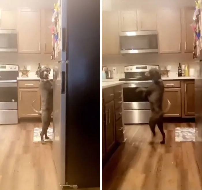 "Oh Dang, They're Onto Me... Time To Act Normal"