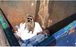 50 Times People Couldn’t Believe Their Luck While Dumpster Diving (New Pics)