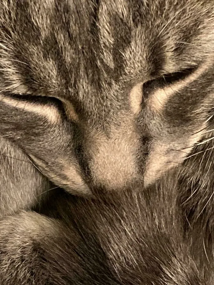 ..morning Nap..