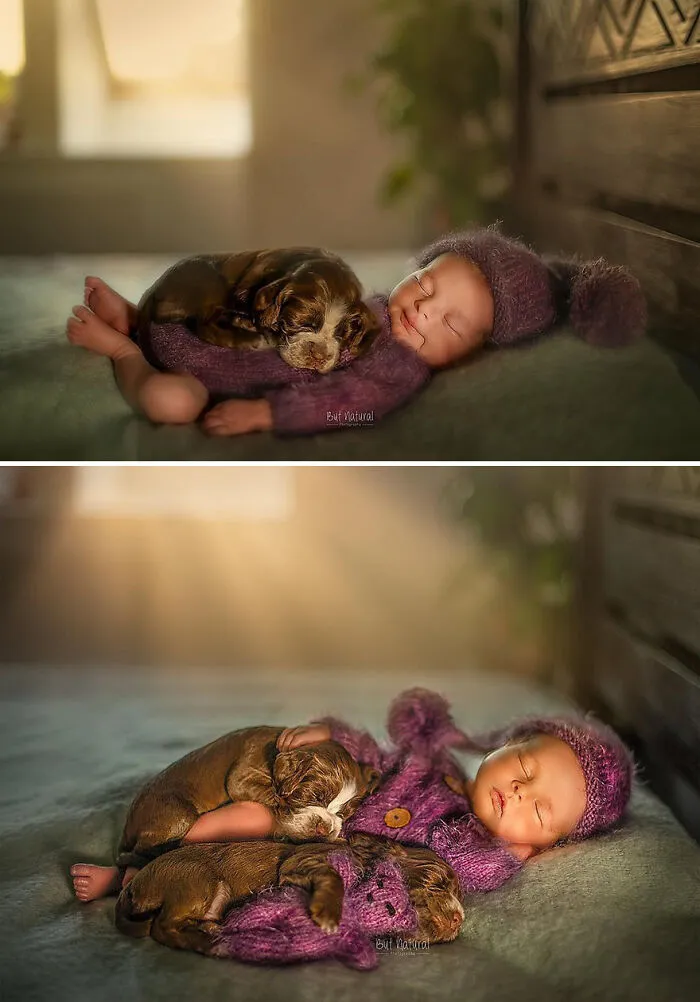 Sweet Photographs Of Kids With Animals That Might Make Your Heart Melt A Bit (28 New Pics)
