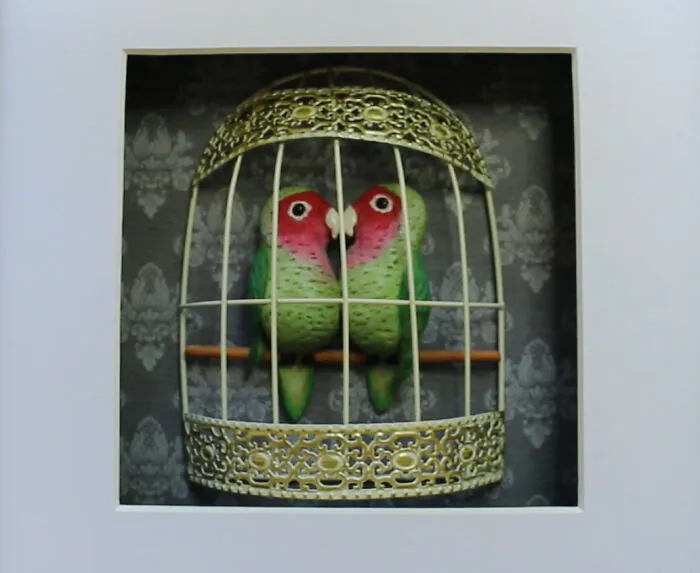 Lovebirds