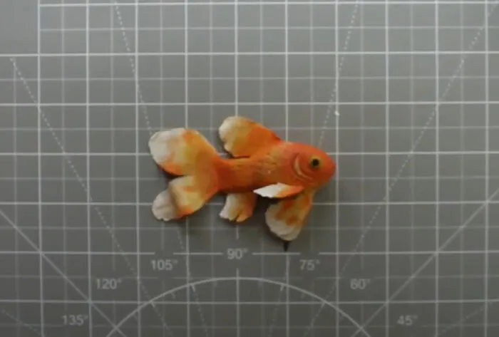 Goldfish