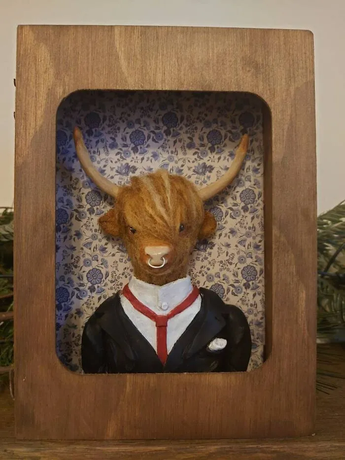 Highland Cow