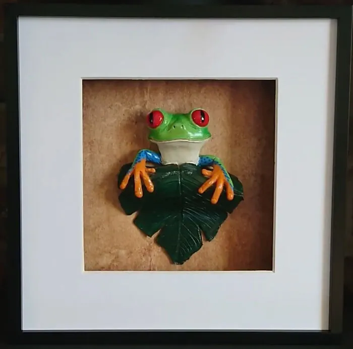Red Eyed Tree Frog