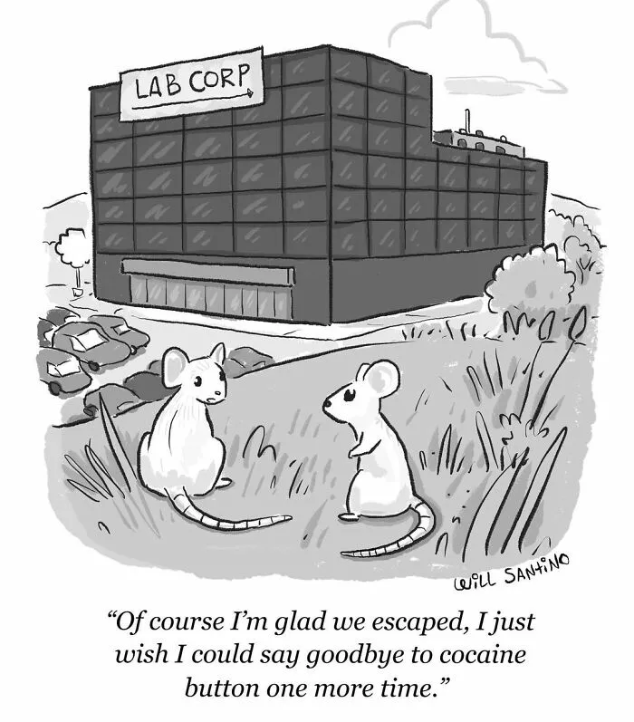 30 Of The Best Comics That Are Full Of Silly Humor And Absurd Situations By Will Santino