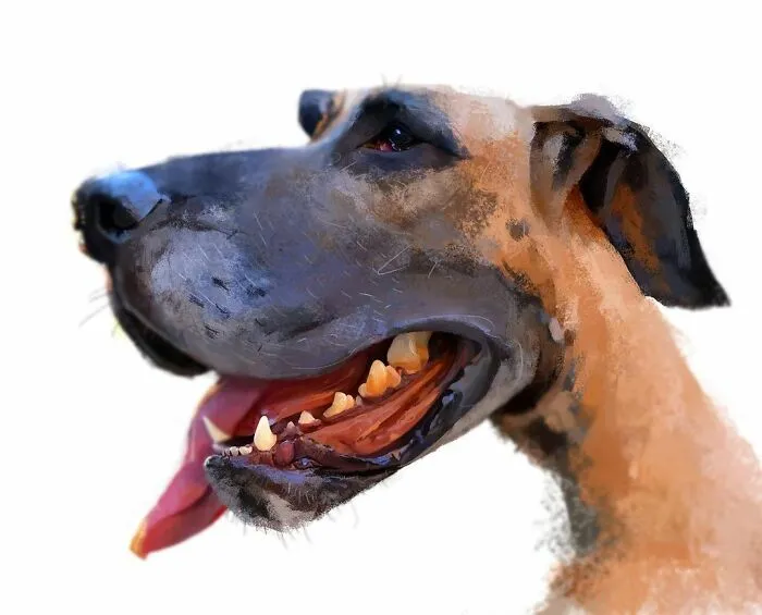 Artist Makes Caricatures That Capture Dogs’ Most Prominent Features (63 Pics)