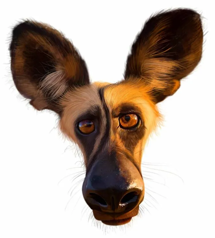 Artist Makes Caricatures That Capture Dogs’ Most Prominent Features (63 Pics)